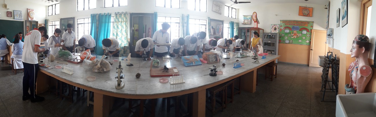 http://59.179.16.89/cbse/2018/oasis/ImageCSharp.aspx?FileName=G:\cbse\2018\oasis\lab\BIO04566.JPG